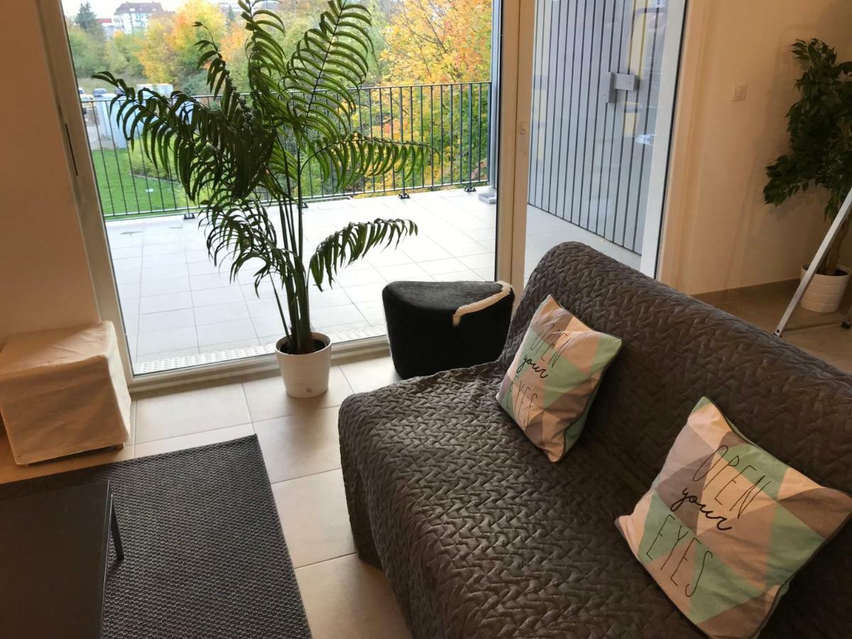 Appartement "Harmonea" Strasbourg Kültér fotó